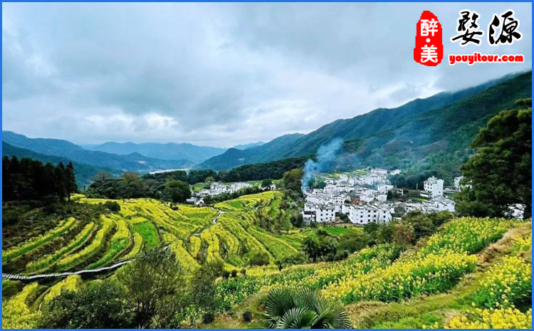 婺源江岭 图示
