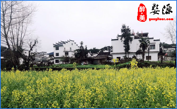 婺源风景区 图示四