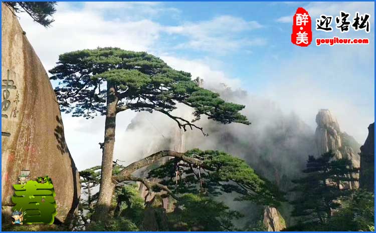 黄山迎客松2021年春季最新摄影图
