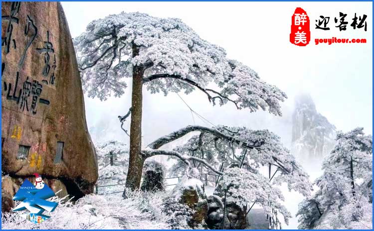 2020年冬季迎客松雪景图