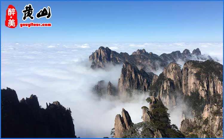 黄山风景区云海 图