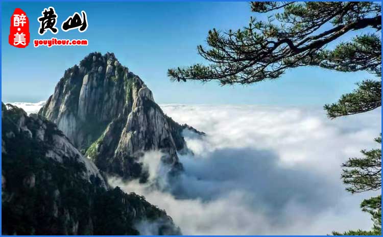 黄山云海图 鉴赏