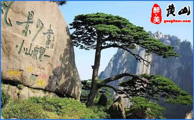 黄山迎客松-黄山导游摄影
