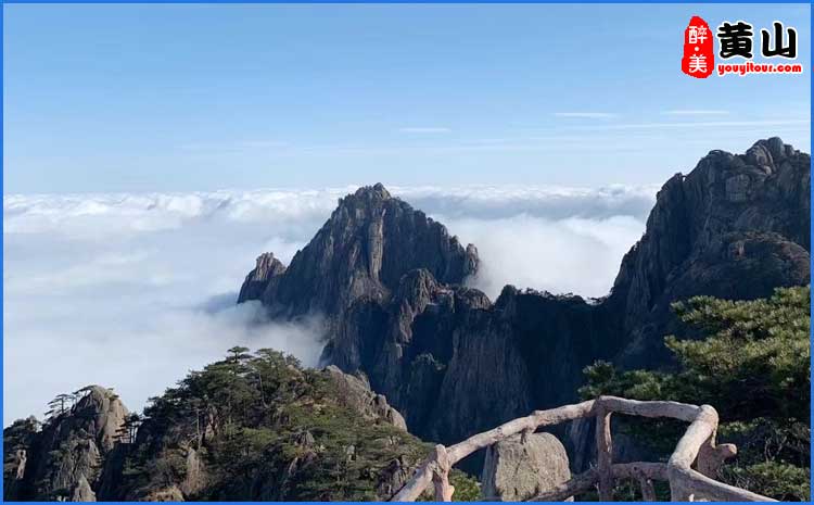 黄山云海 美图鉴赏