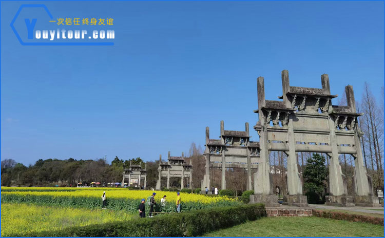 黄山歙县牌坊群油菜花美景图