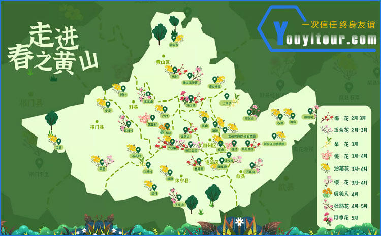 黄山旅游周边花季分布图
