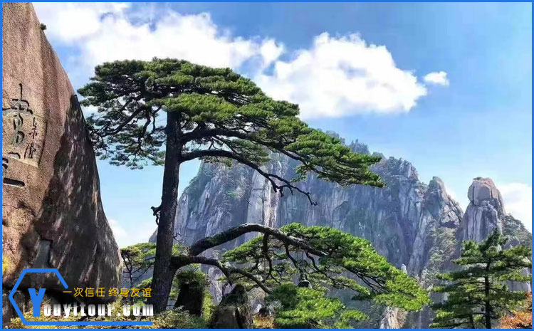 黄山风景区迎客松
