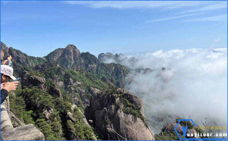 黄山云海 图