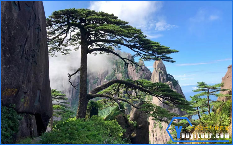黄山景区迎客松 图片