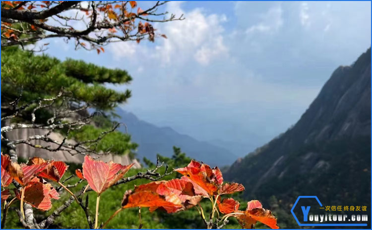 黄山风景区 图一