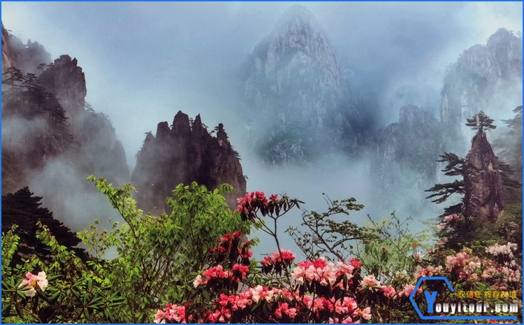 黄山风景区 图一